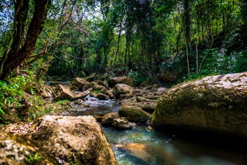 Río Unibón, Foto Rudy Rivera GMVB