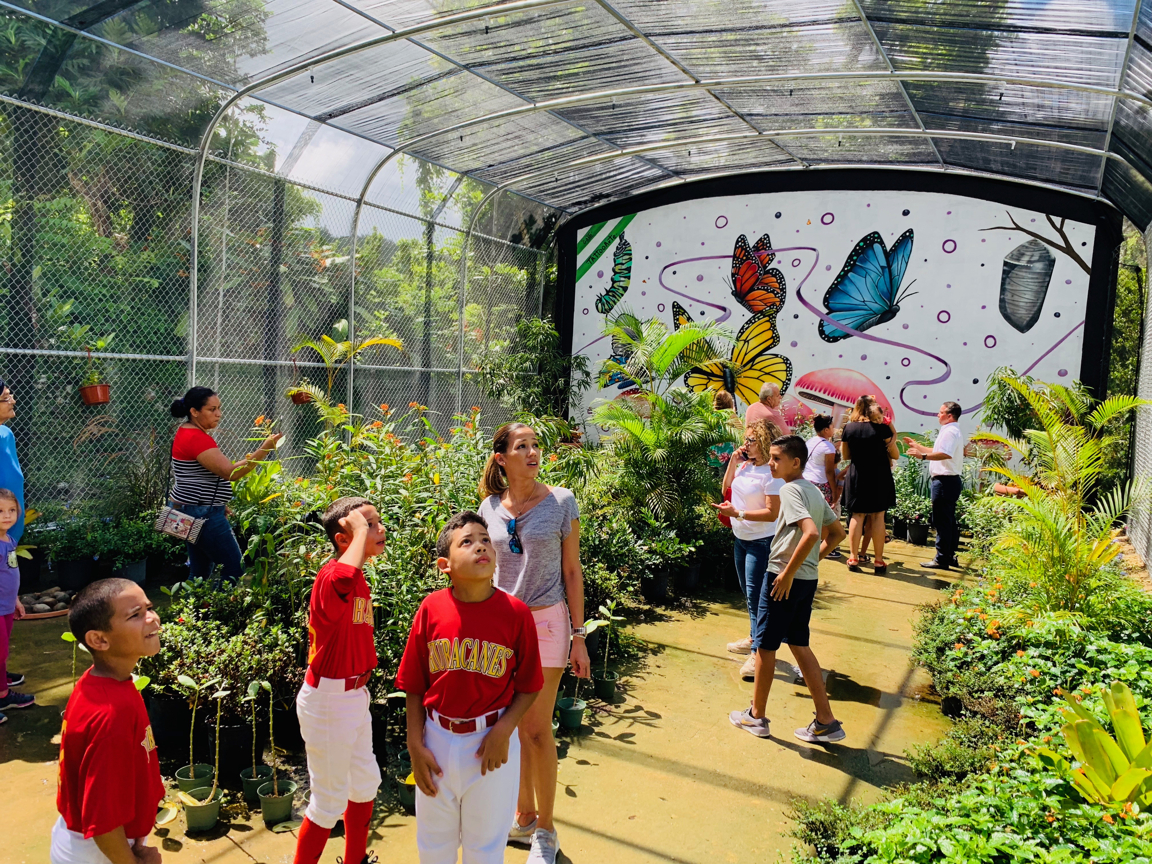 Mariposario, una experiencia para vivir en la ciudad del melao melao