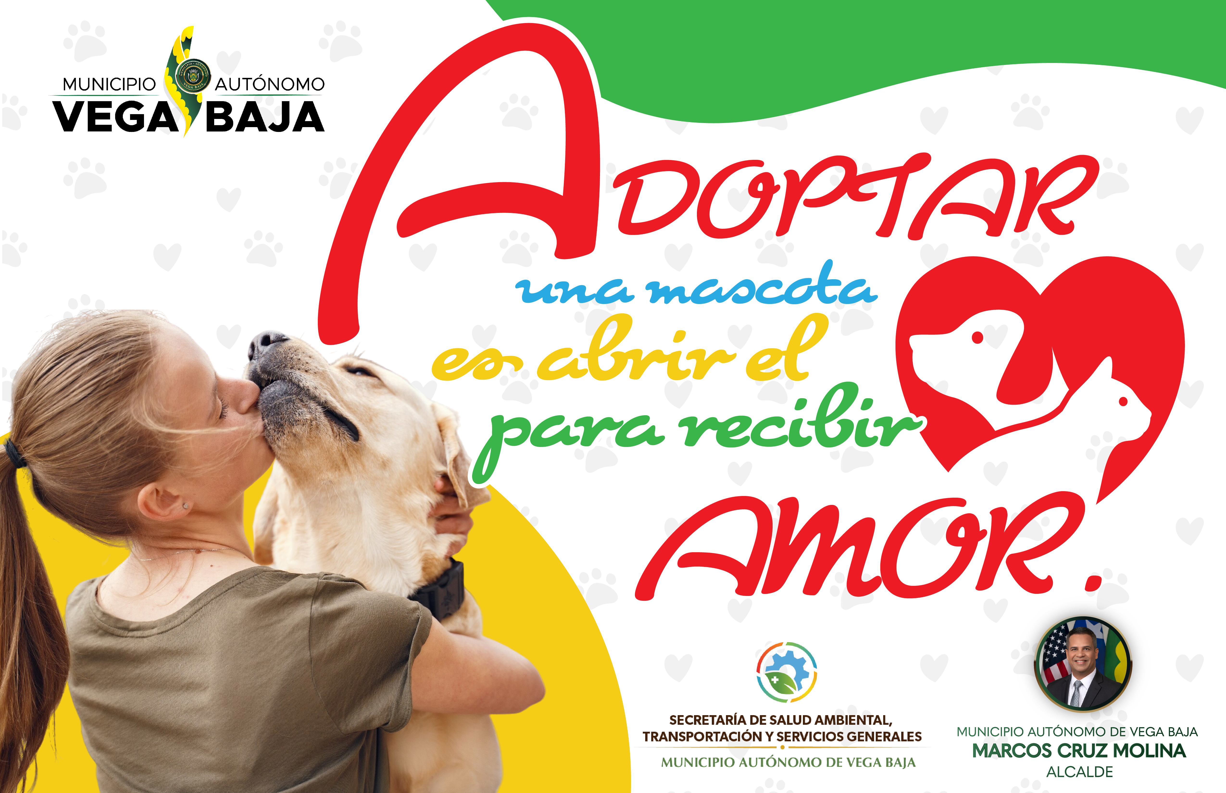 Municipio de Vega Baja lanza campaña educativa: “Adoptar una mascota es abrir el corazón para recibir amor”