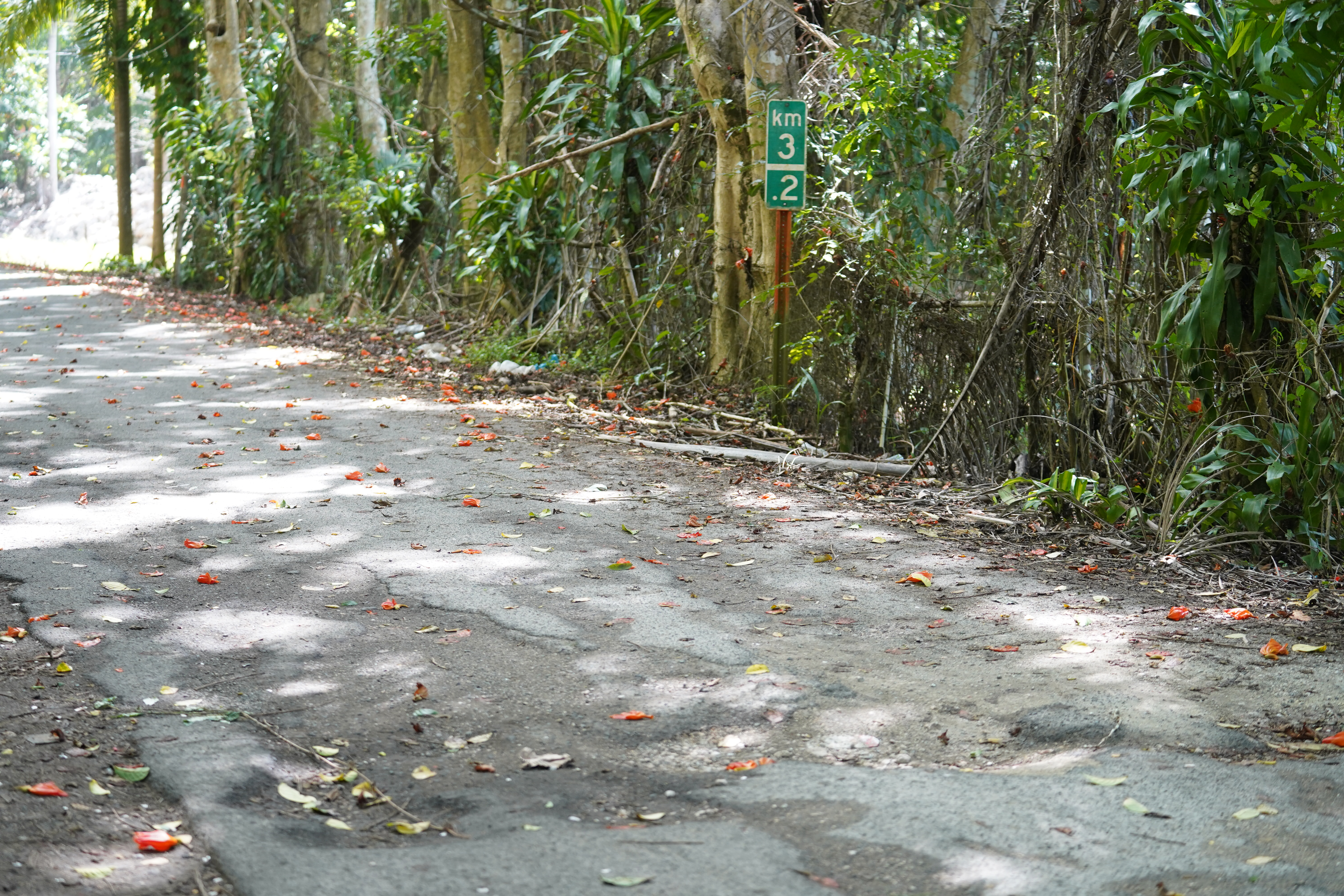Carretera PR 674 Sector Los Hoyos Km 3.2