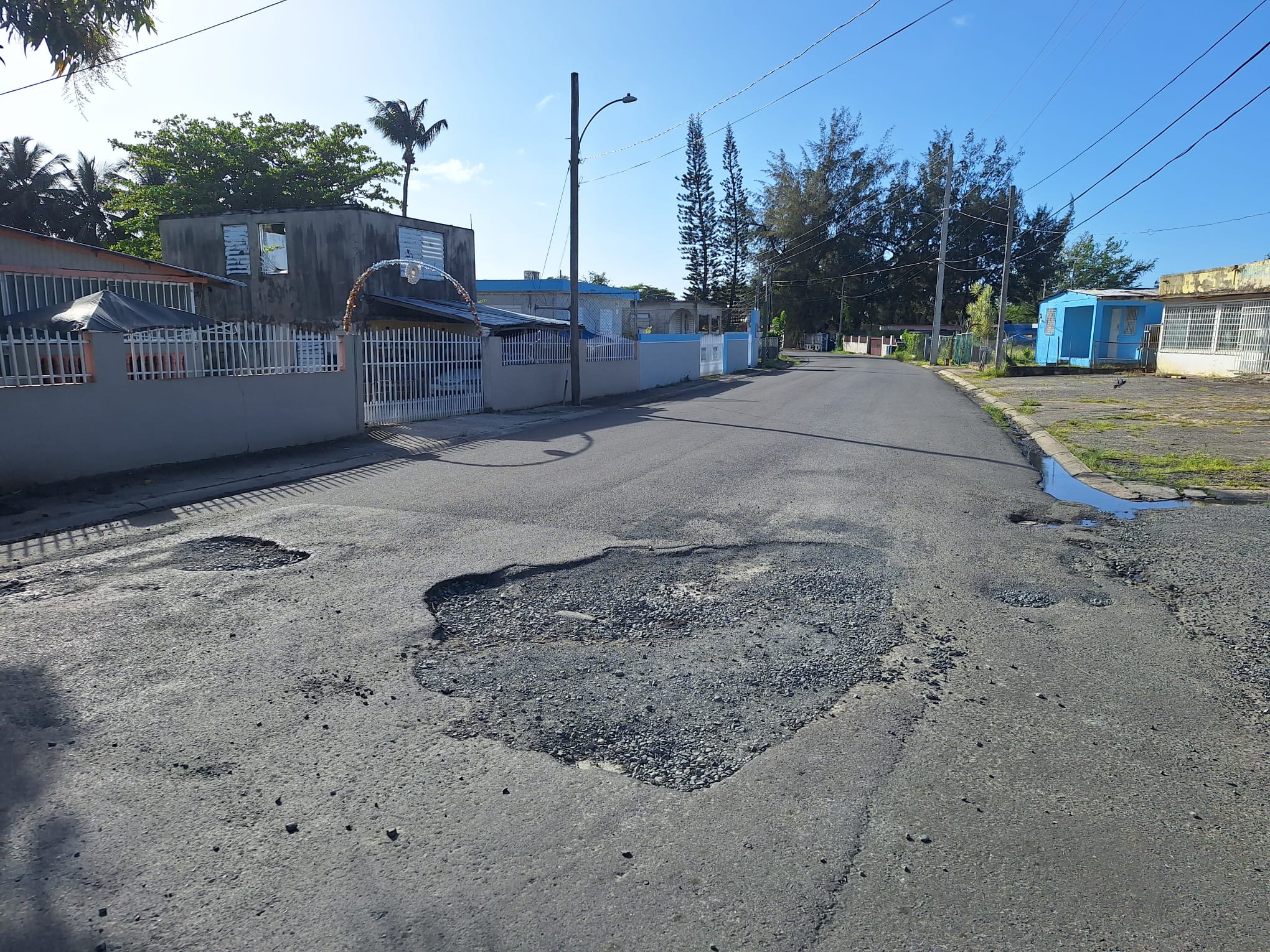 WhatsApp Image 2026-03-11 at 13.45.43